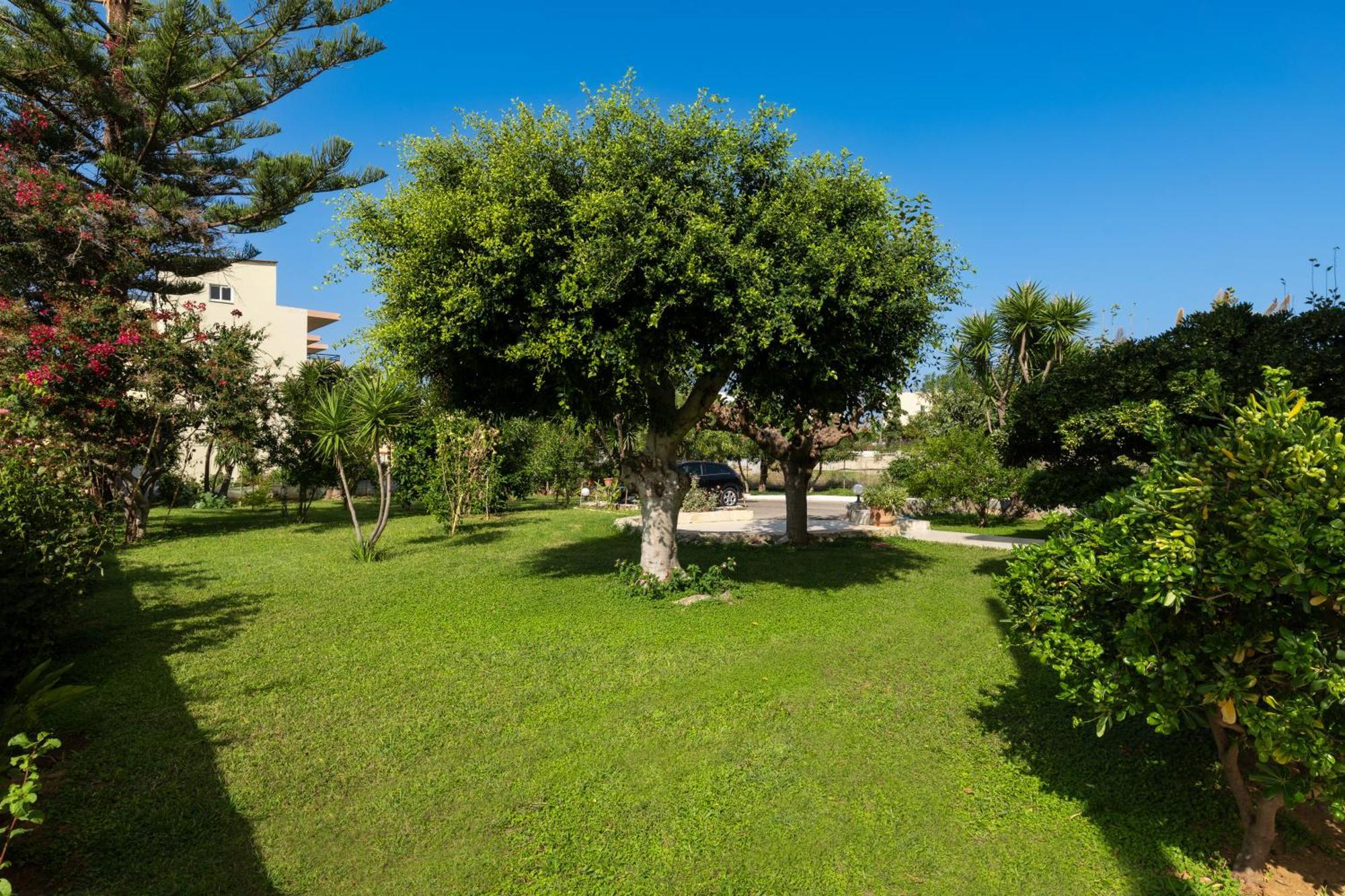 Evdokia Αpartments & Dimitra Village Agia Marina Exterior foto
